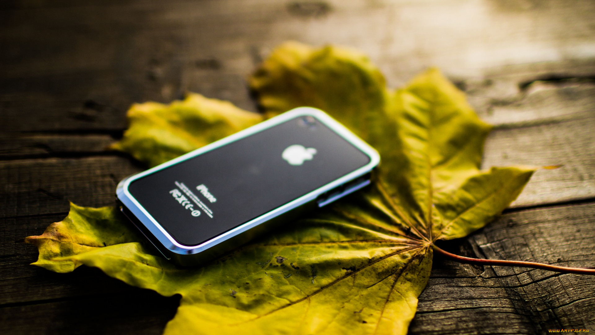 , iphone